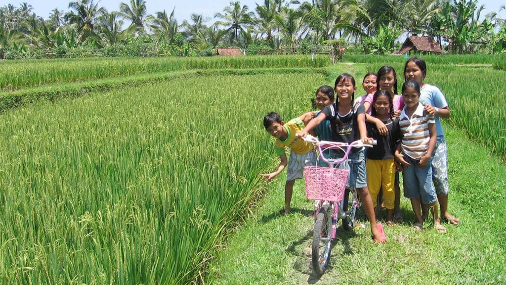 balinese kinderen in de rijstvelden van tabanan
