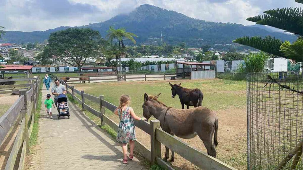 bali farm house met kinderen