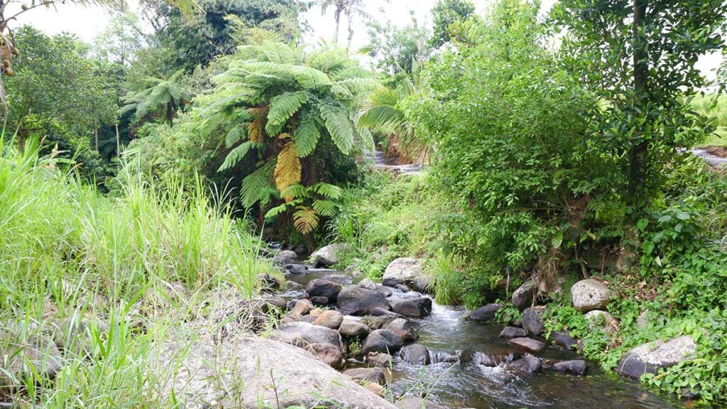 rivier in tabanan