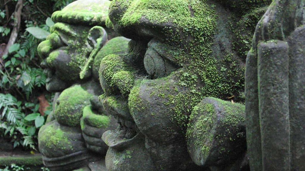 apenbos ubud