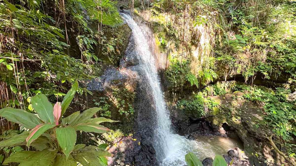 waterval goa gaja bedulu