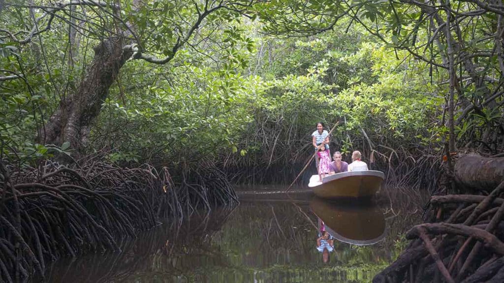 varen tussen de mangroves op bali