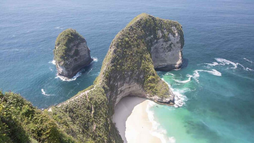 t-rex nusa penida