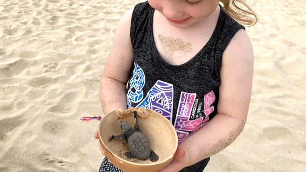 scildpadden vrijlaten op bali met een peuter