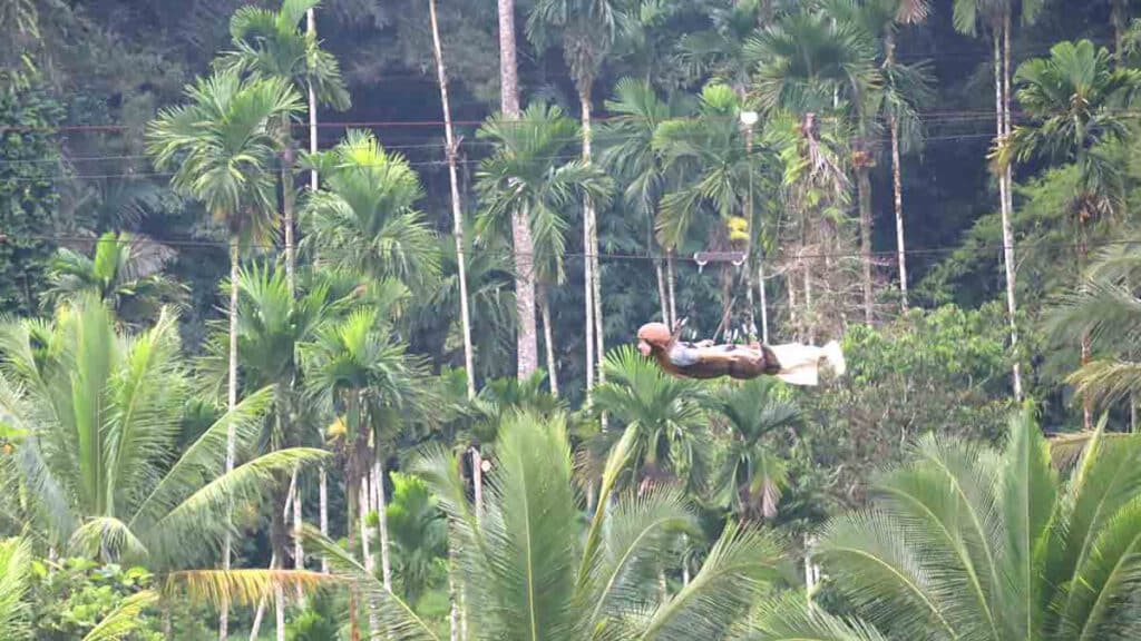 flying fox zilpine tegelalang